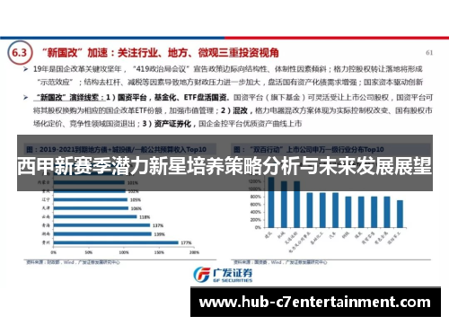 西甲新赛季潜力新星培养策略分析与未来发展展望